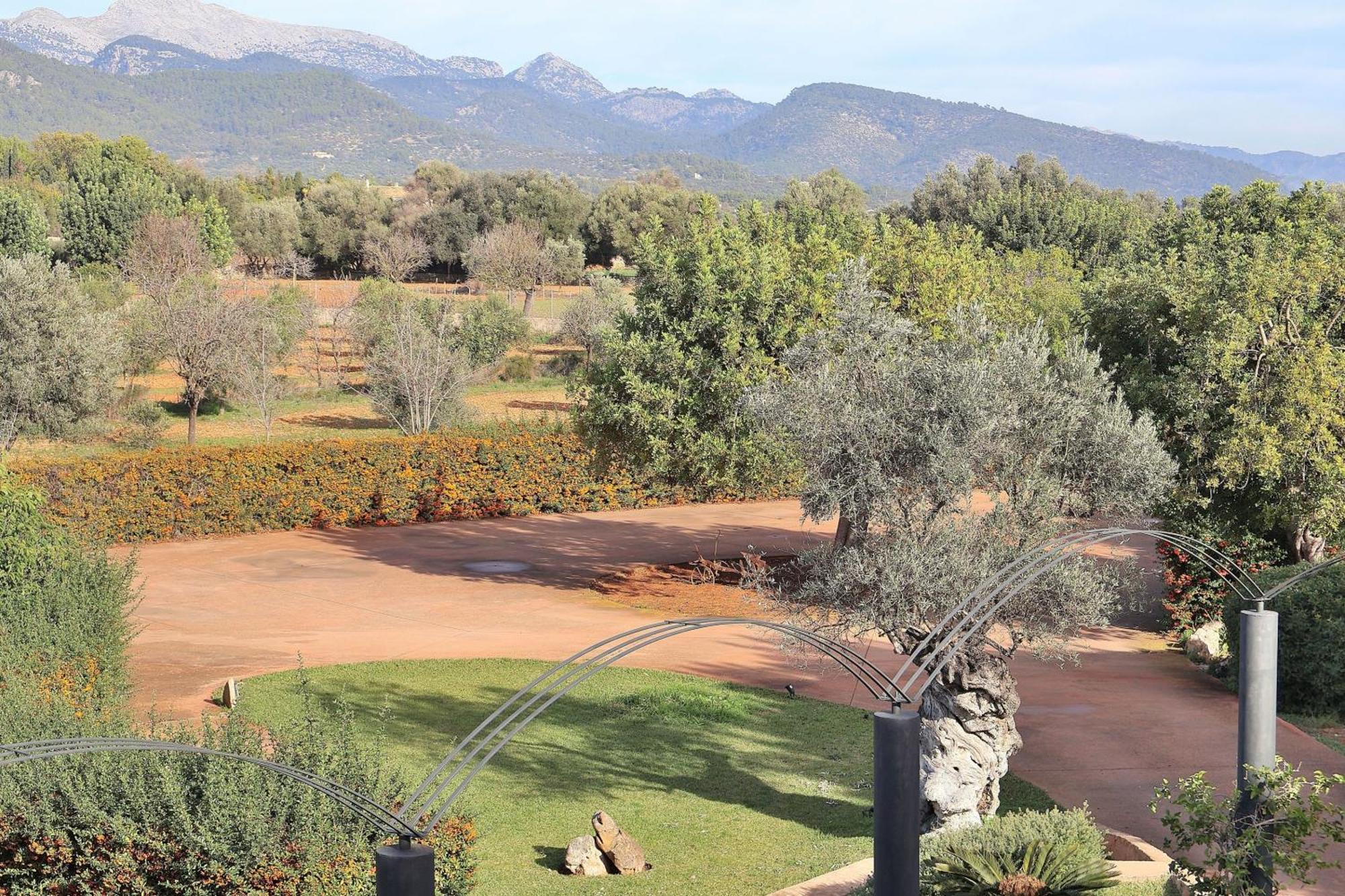 151 Villa Es Triquet Et3366 By Mallorca Charme Binissalem Εξωτερικό φωτογραφία